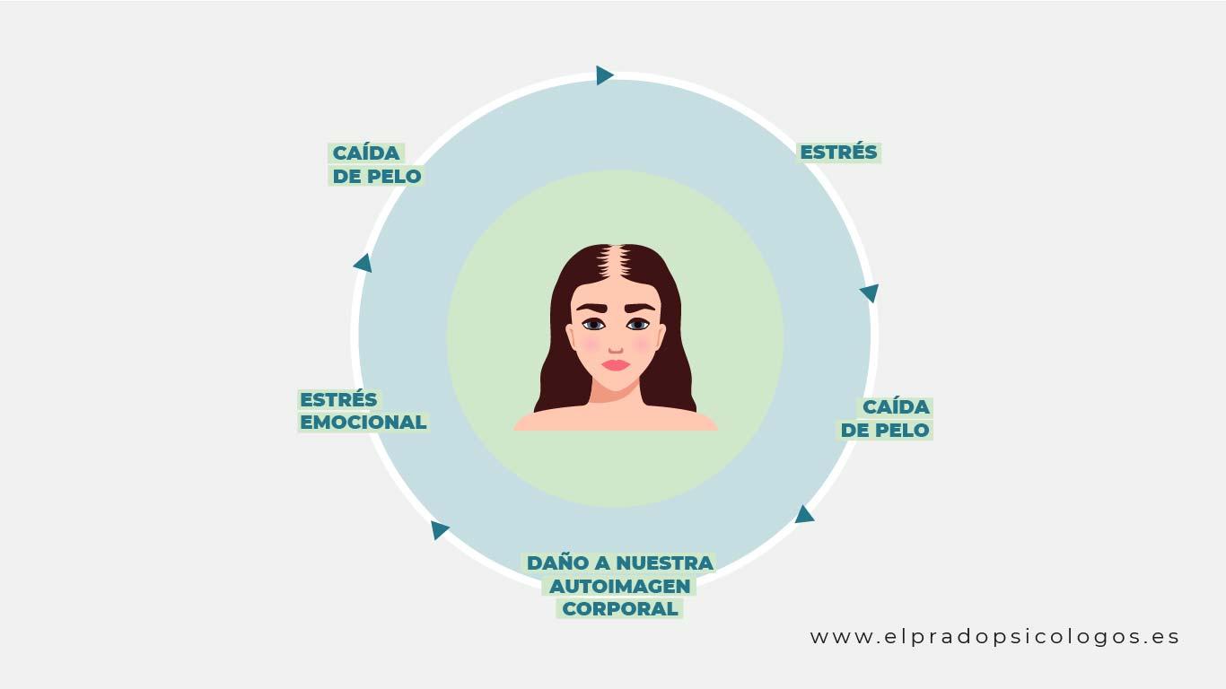 caida de pelo por estres emocional caida de pelo por estres emocional