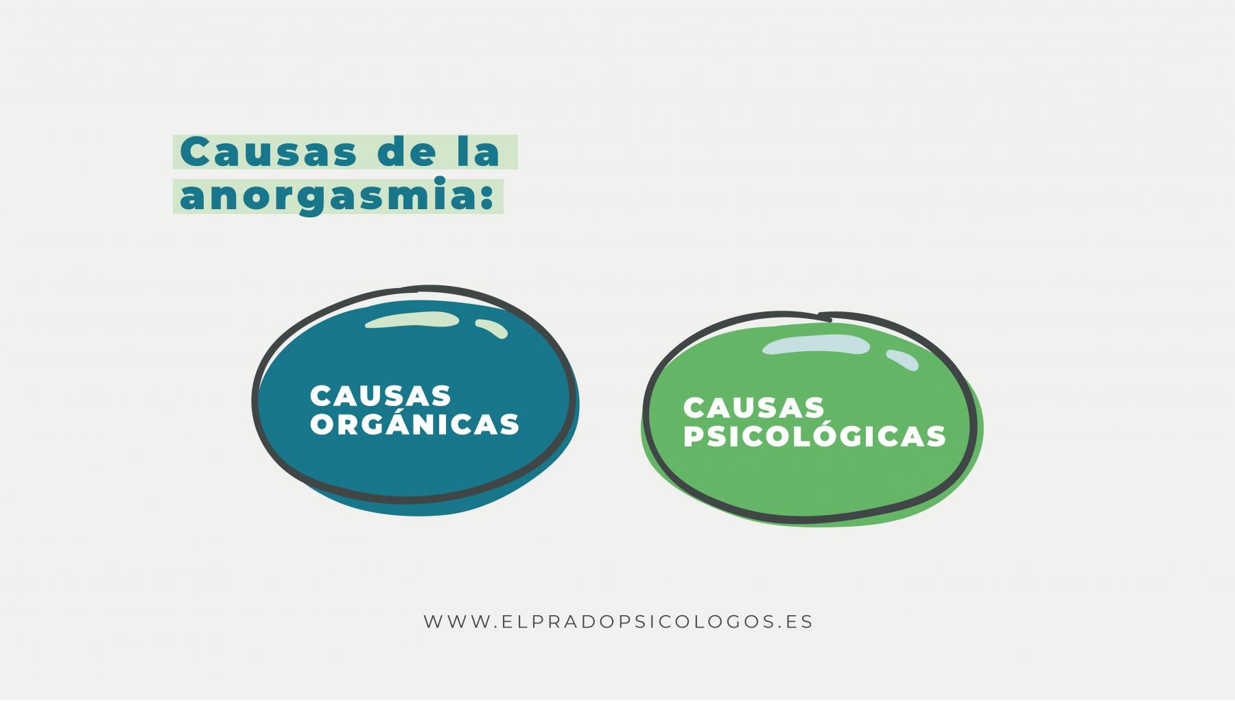 tipos de causas de la anorgasmia