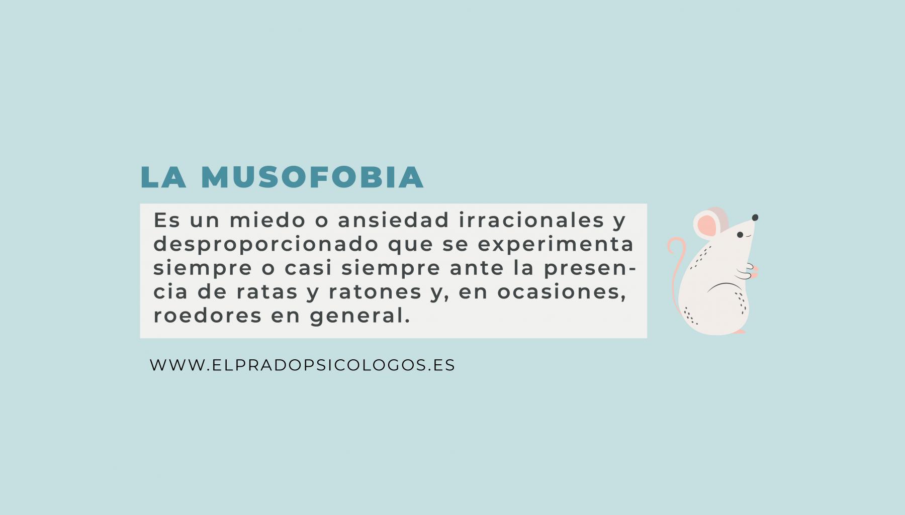 Musofobia cómo superar el miedo a los ratones y a las ratas Musofobia cómo superar el miedo a los ratones y a las ratas