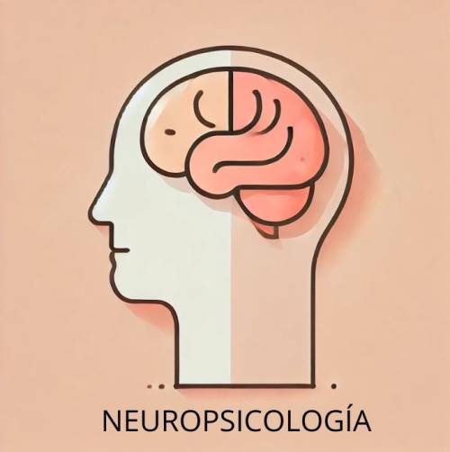 que es la neuropsicología