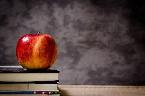 fracaso escolar enfrentarse al fracaso escolar