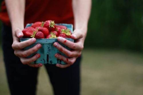 que son los trastornos alimenticios y cuales son sus causas que son los trastornos alimenticios y cuales son sus causas