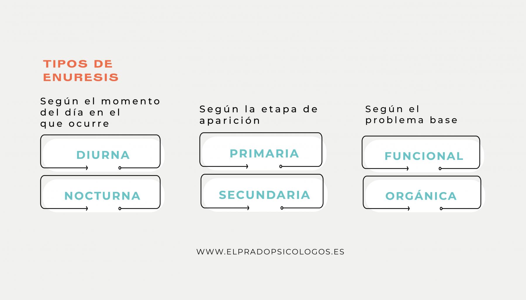 enuresis tipos tipos de enuresis