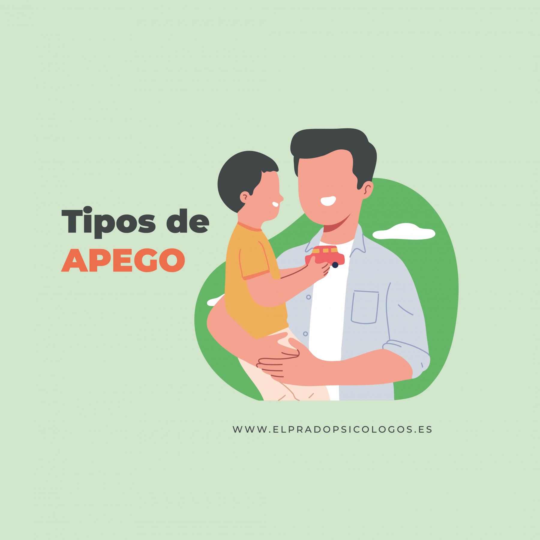 Tipos de apego Tipos de apego